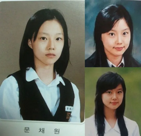 문채원 증명사진 굴욕없음 노굴욕 굴욕움짤