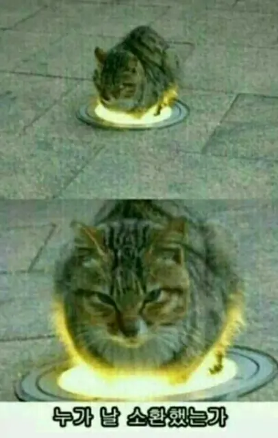 소환사