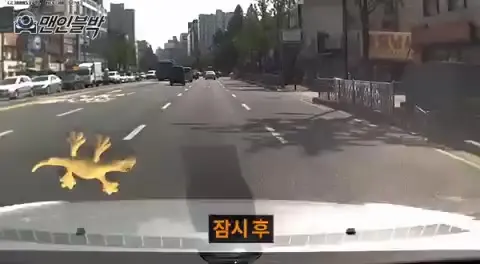 딸배 레전드