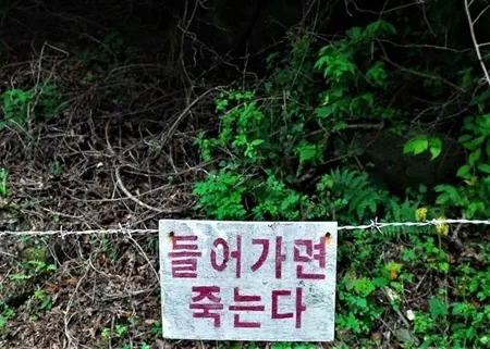 들어가면 죽는다 지뢰 경고 경고문 폭탄 폭발
