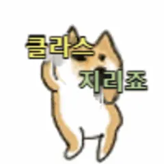 댕댕콘 생성기