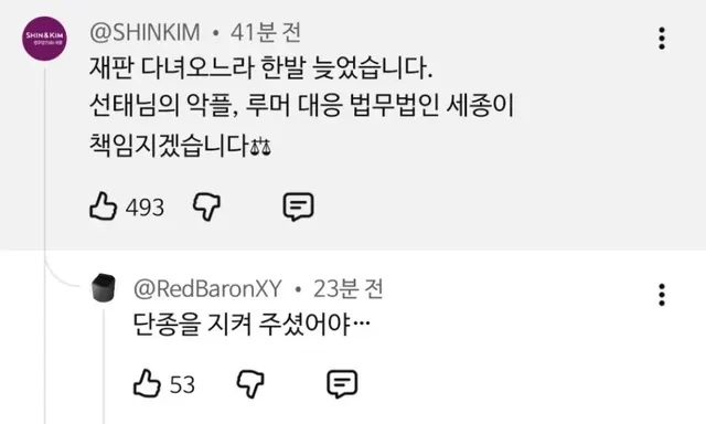 법무법인 세종의 등판과 역사 드립