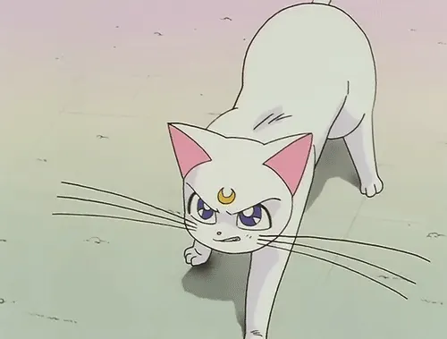 고양이 하악질 만화 애니 으르렁 냥이 화난