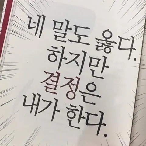 네 말도 옳다 하지만 결정은 내가한다 닥쳐 거기까지 그만