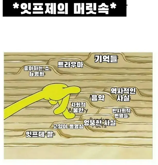 ISFJ MBTI 잇프제 머릿속 스폰지밥 뇌구조 공감 특징 생각 고민