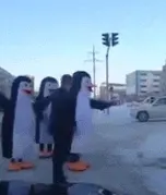 #남극 #펭귄 #실상 #도움