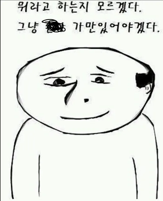 가만있자 뭐라고 하는지 모르겠다 그냥 가만있어야겠다 이해불가 당황 해탈 침묵 짤