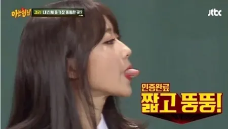 짧고 뚱뚱 혀 메롱 뚱뚱한 다이어트 뚱보 살찐