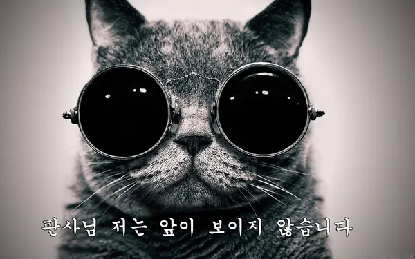 판사님 저는 앞이 보이지 않습니다