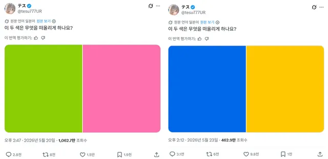 이 두 색은 무엇을 떠올리게 하나요 (색상 연상 밈)