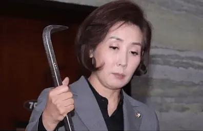 나빠루 나경원 빠루 국회 패스트트랙 비장 투쟁 대치 분노 무기