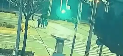 보행자사고 고라니 횡단보도 보행자 사고 돌진 충격 블랙박스 레전드 당황