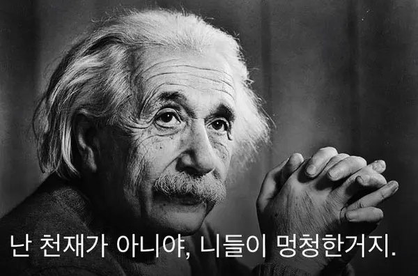 #아인슈타인 #미친짤