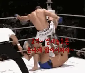 2찍 벌레 윤석열 태극기