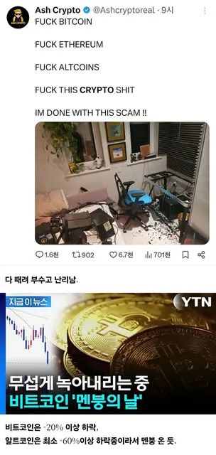 비트코인 이더리움 알트코인 나락