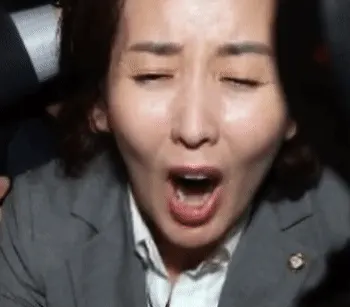 나베 나경원 절규 소리지름 당황 충격 굴욕 정치인 짤