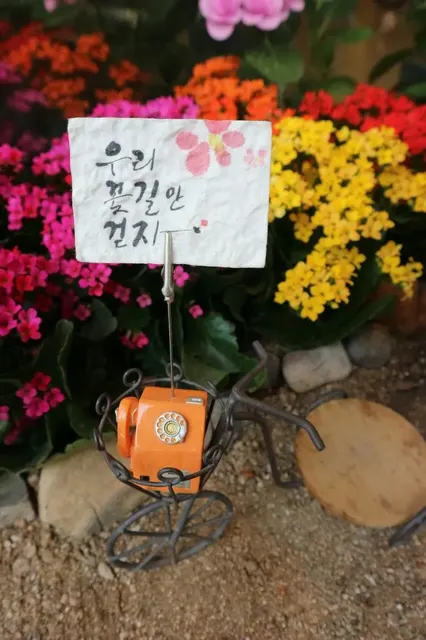 꽃길 우리꽃길만걷자