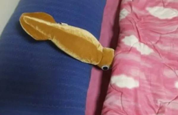 오징어 이불 잘자 저녁 인형 못생긴 못생겼다