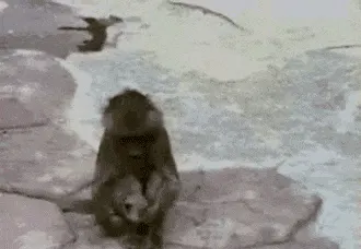 얼굴 못생긴 니얼굴 내얼굴 깜짝 놀람 셀카 내모습 니모습