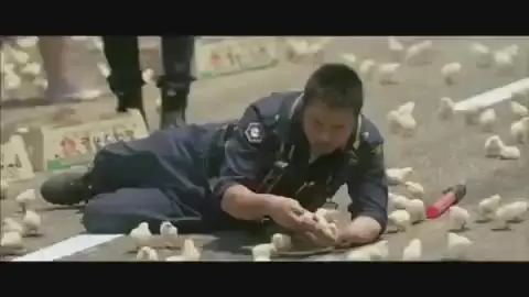 병아리 줍기 반창꼬 영화