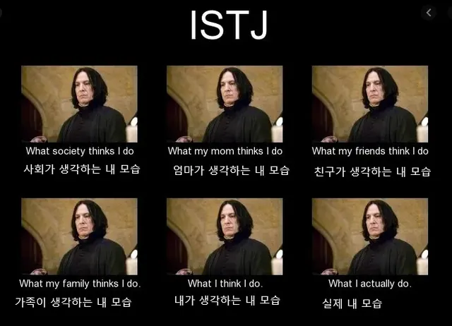 ISTJ MBTI 잇티제 스네이프 해리포터 무표정 한결같은 실제모습 공감 짤
