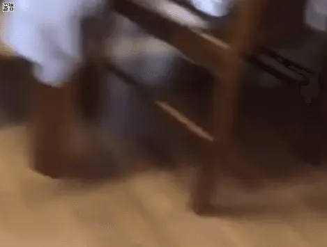 슈아 고양이 오이 깜놀 점프 공중부양 당황 충격 웃긴 짤 동물