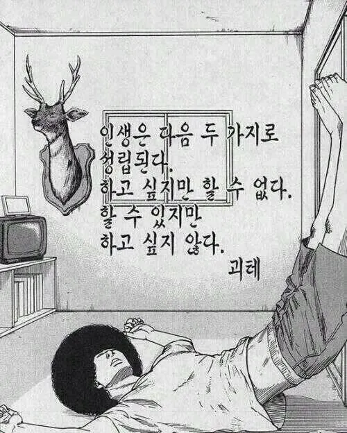 하기싫다 무기력 귀찮아 인생은 두 가지로 나눌 수 있다..