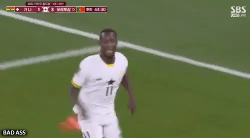 역호우 가나 부카리 호날두 세레머니 도발 킹받는 월드컵 축구