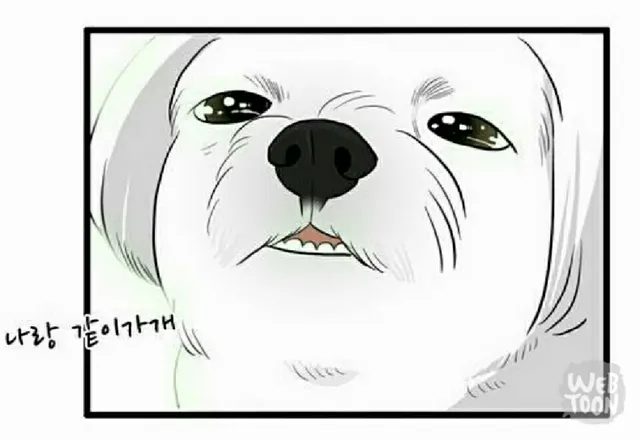 여행 같이 나랑 같이가