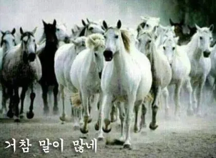 거참 말이 많네 말많네 말 말놀이