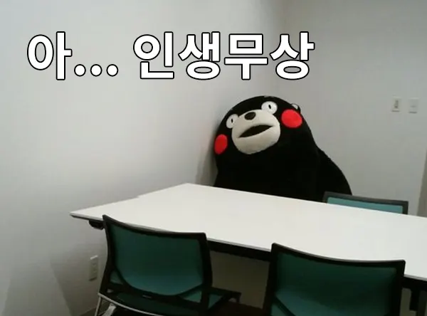 인생무상 허무 쿠마몬 좌절