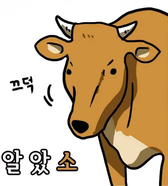 알았소 아재 개그 병맛