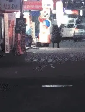 만취 만취녀 레전드 귀여운 인형탈 도망 취함