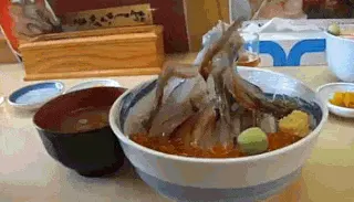 오징어 간장 춤추는 다리 못생김 못생겼어 얼굴