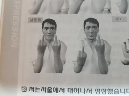수화 남동생 형 퍼큐 박규 손가락 욕 가운데손가락