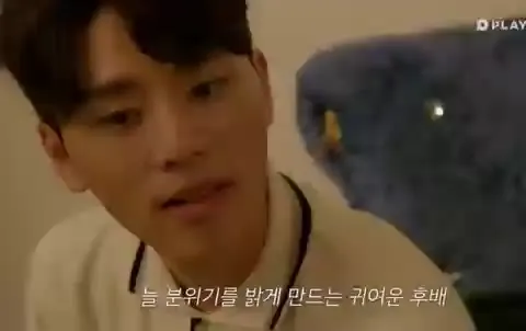 플레이리스트