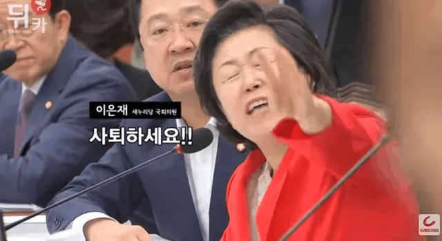 사퇴1 이은재 사퇴하세요 분노 호통 짤 레전드 국회의원 겐세이 정색