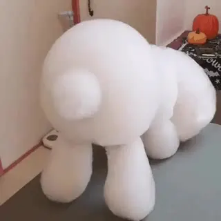 비누 거품으로 강아지 만듦.gif 거품 강아지 개 댕댕이 비숑
