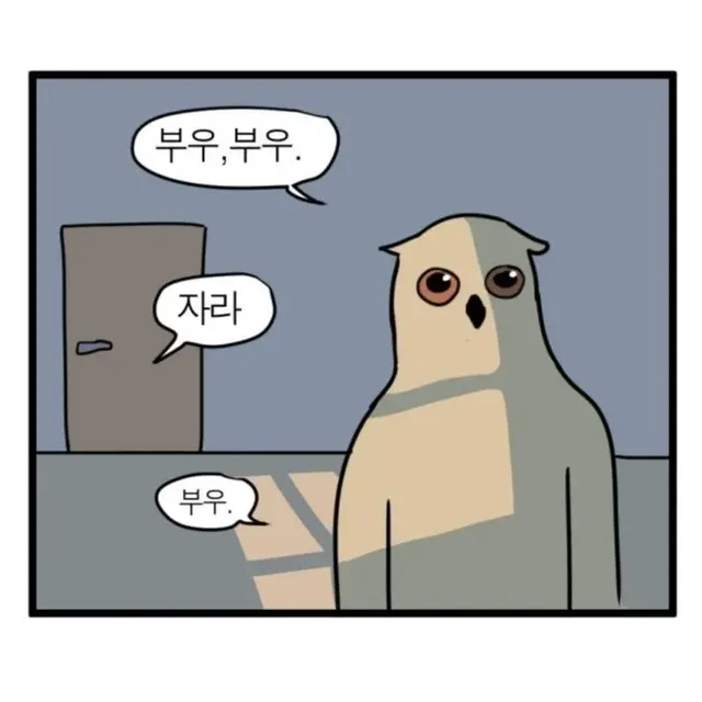 부엉이 부우 만화 캐릭터