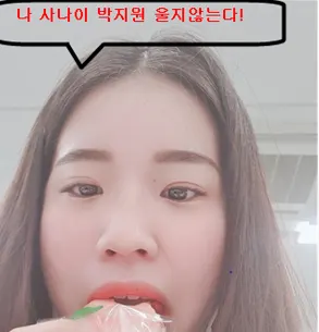 박지원 프로미스나인 사나이 울지않는다 먹방 슬픔 억울 웃김 짤 원본