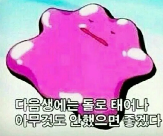 돌 다음생 귀찮아 귀찮음