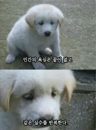 인간의욕심은끝이없고같은실수를반복한다 실수 욕심 인간 인간의욕심