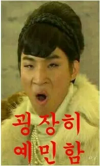 예민 대성 도도 예민함