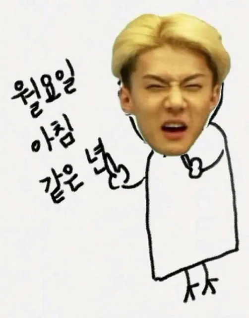 월요일아침 욕 놀림