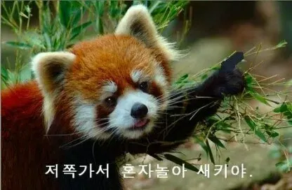 저쪽가서 혼자놀아 새키야