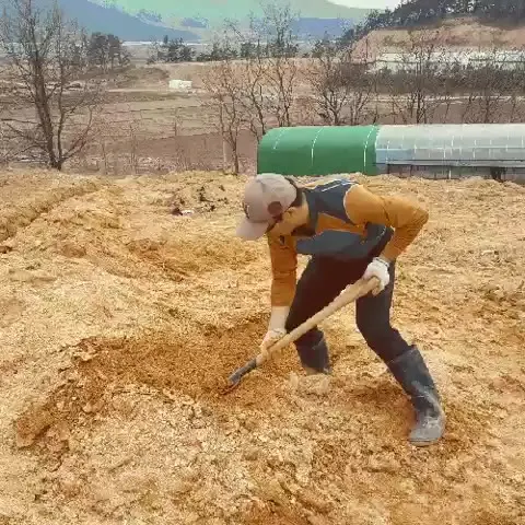 묻묻 삽질 묻다 파묻기 비밀 은폐 흑역사 없던일로 잊어버려