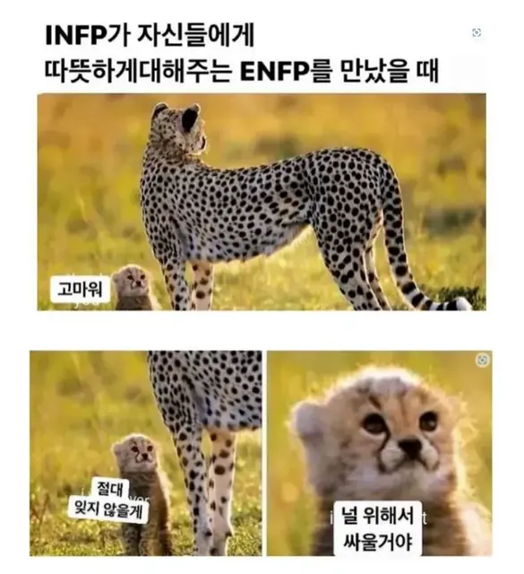 MBTI INFP ENFP 치타 새끼 감동 고마워 의리 다짐