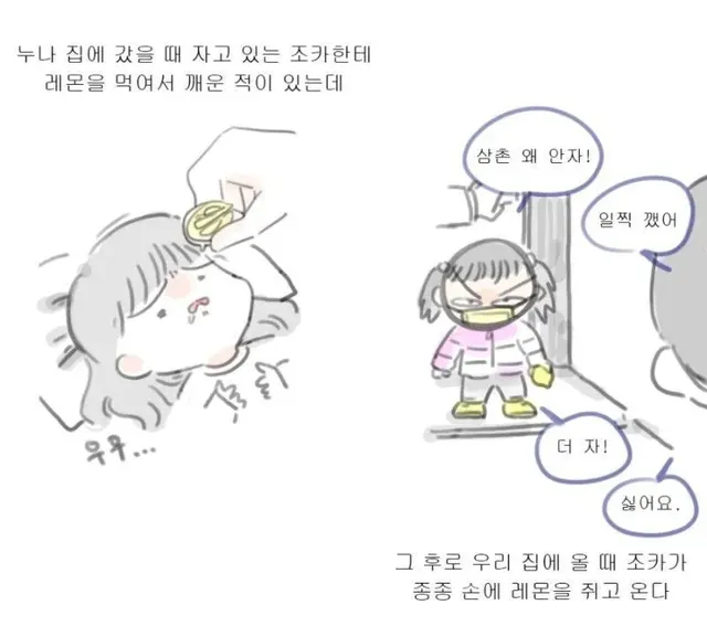 조카 레몬 삼촌