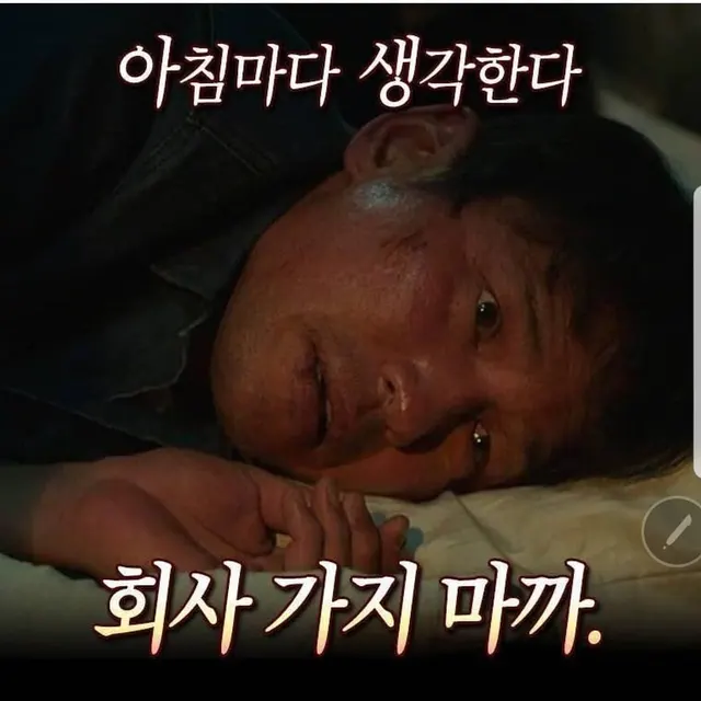 때려쳐 때려칠까 사표 수고했어