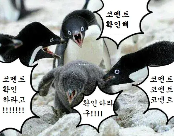 코멘트 확인 짤